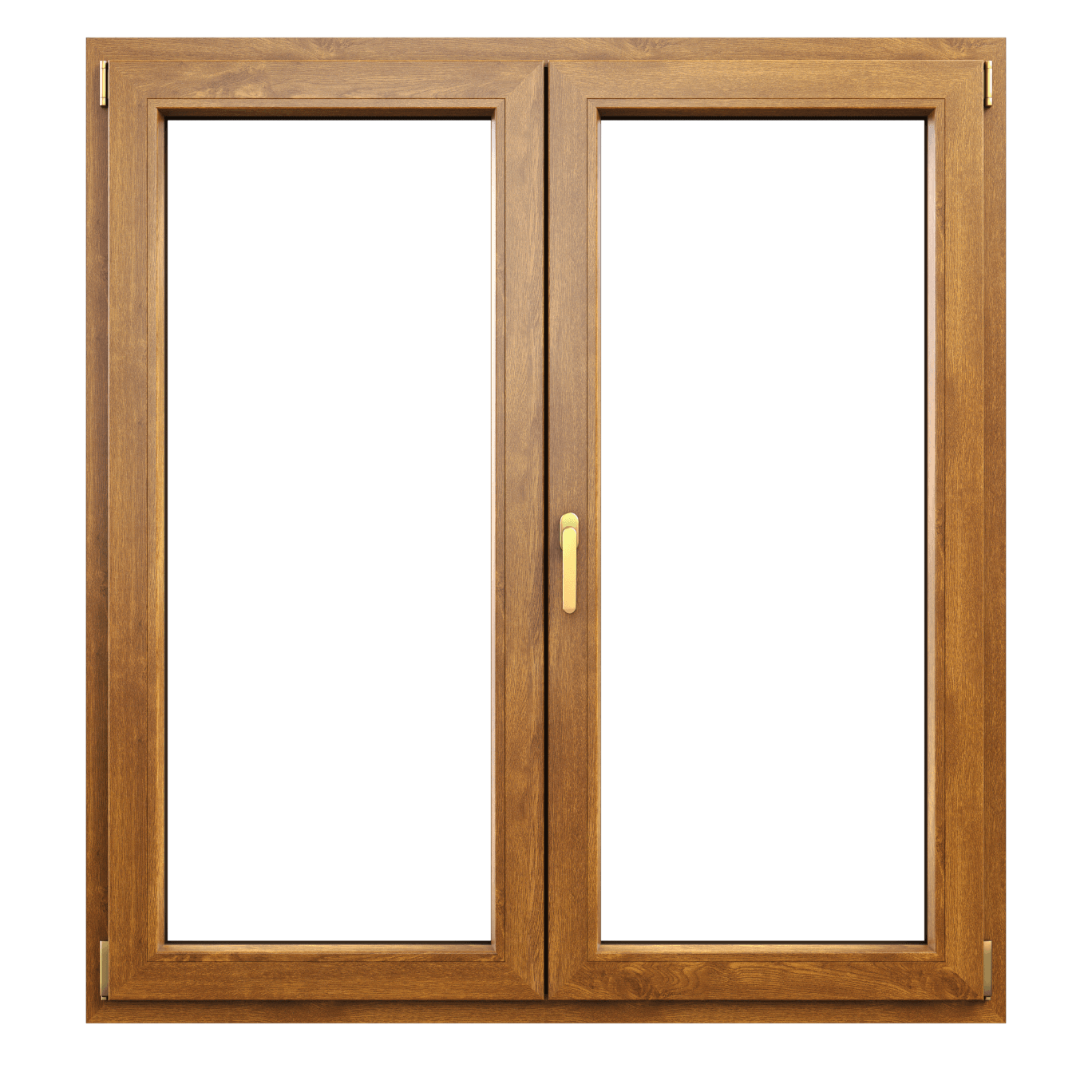 Adult Adoption main image 1